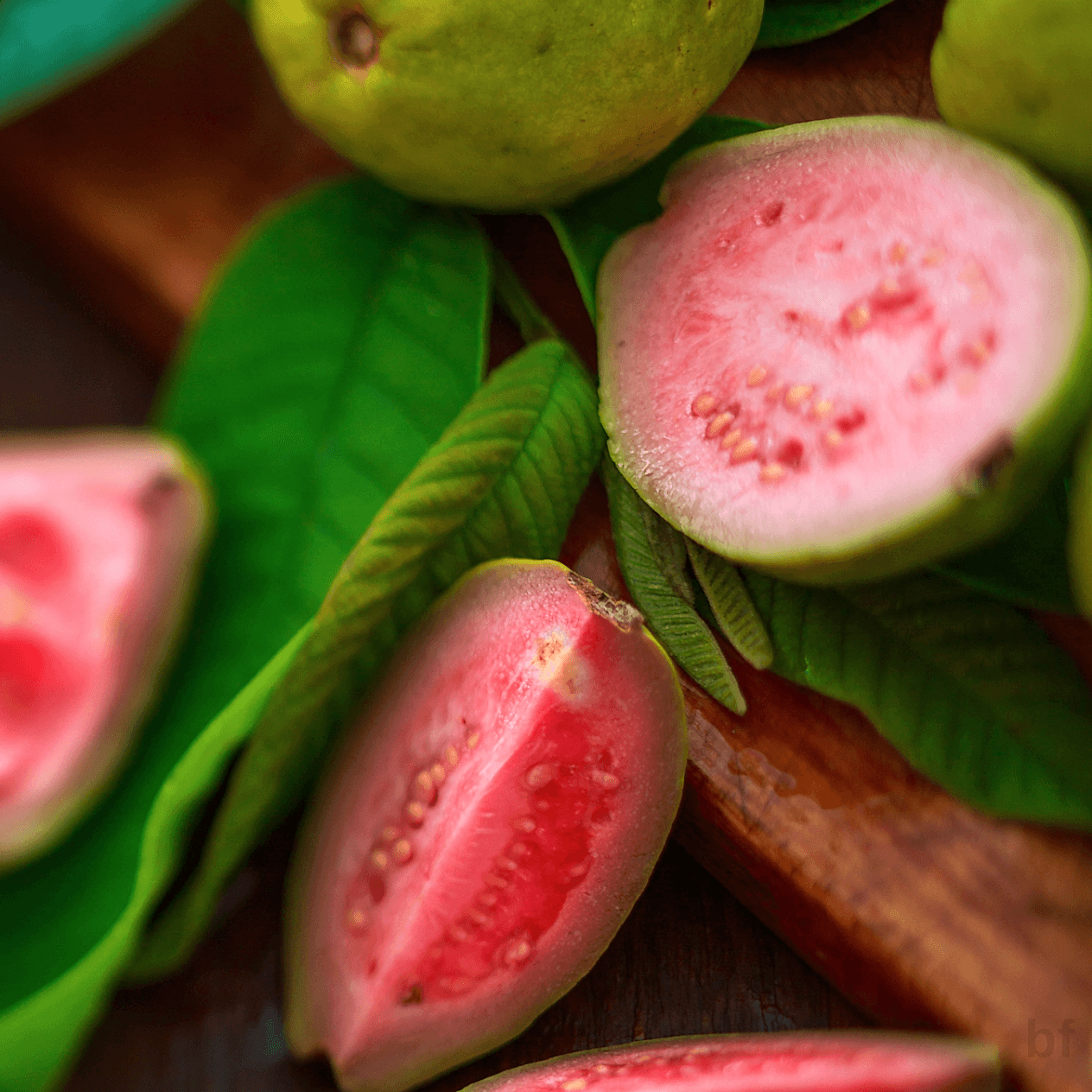 2 Yaş Guava Fidanı