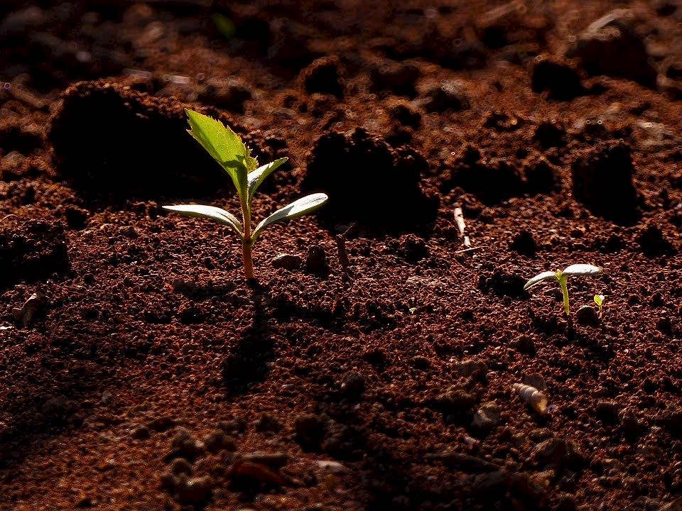 25 Lt Dere Mili Toprak