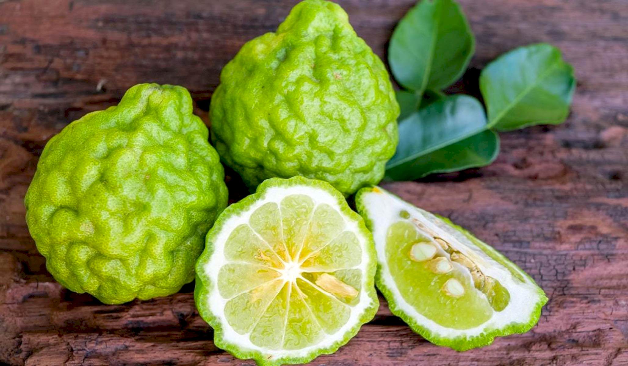 3 Yaş Bergamot Fidanı