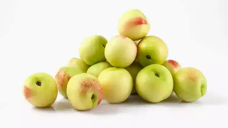 4 Yaş Bodur Beyaz Nektarin (bayramiç Beyazı)