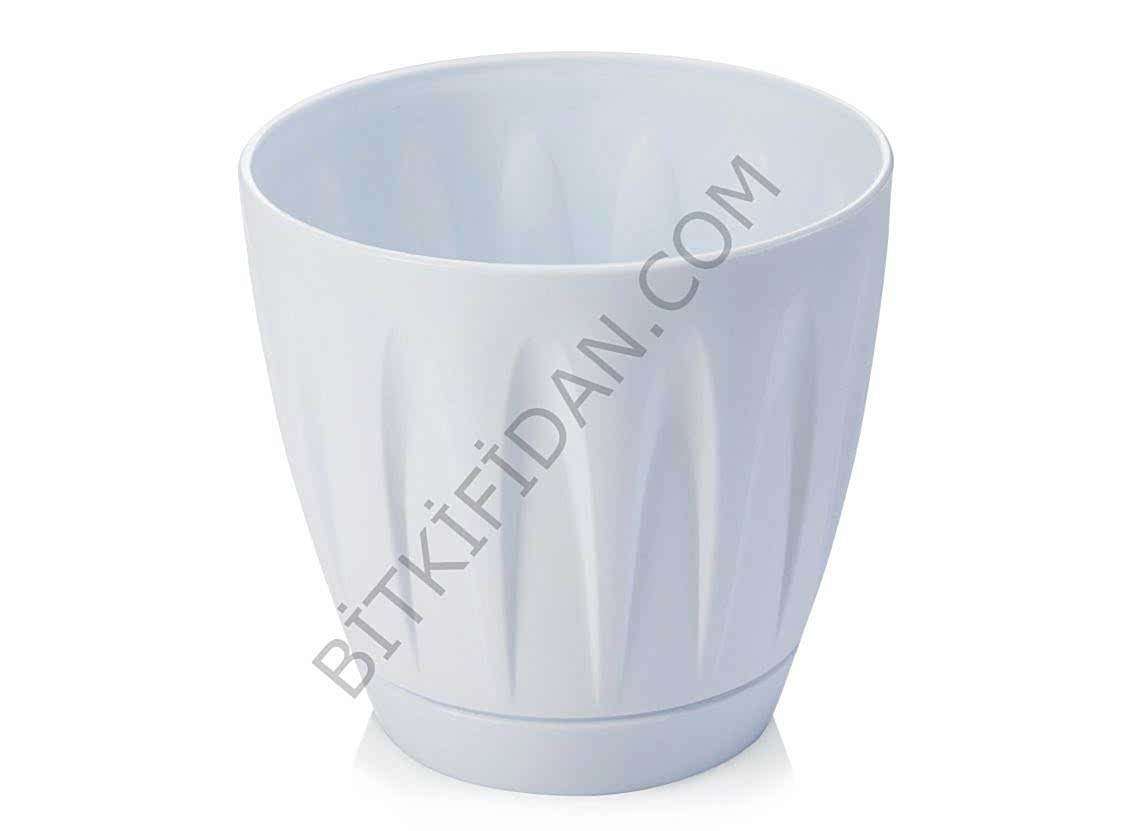 Papatya Saksı Beyaz -22 Lt