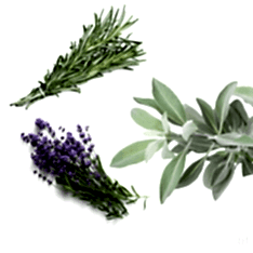 10 'lu Tıbbı Aromatik Bitki Paketi