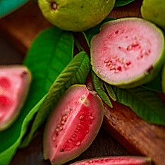 2 Yaş Guava Fidanı