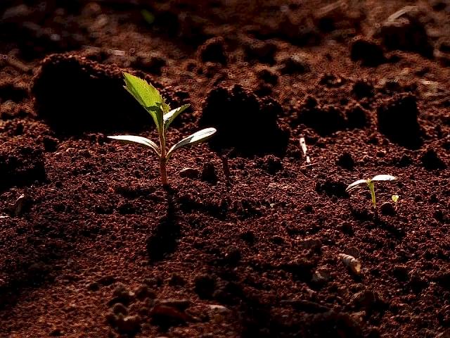 25 Lt Dere Mili Toprak