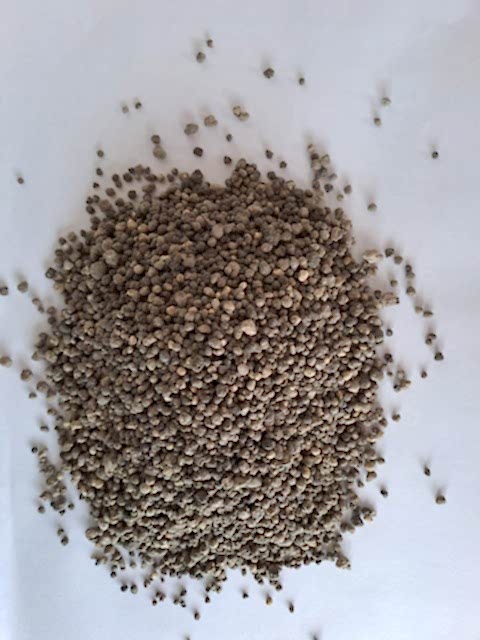 3 Aylık Geç Salınımlı Gübre 20 Kg