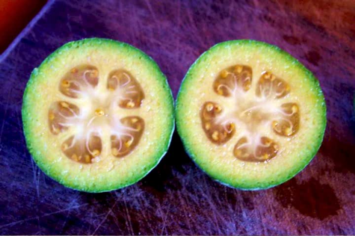 3 Yaş Tijli Feijoa(kaymak Ağacı) Fidanı