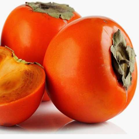 4 Yaş Aşılı Hachıya Hurma Fidanı