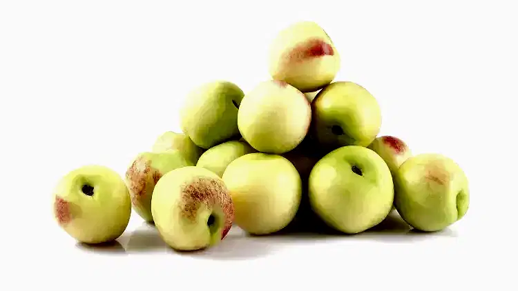 4 Yaş Bodur Beyaz Nektarin (bayramiç Beyazı)