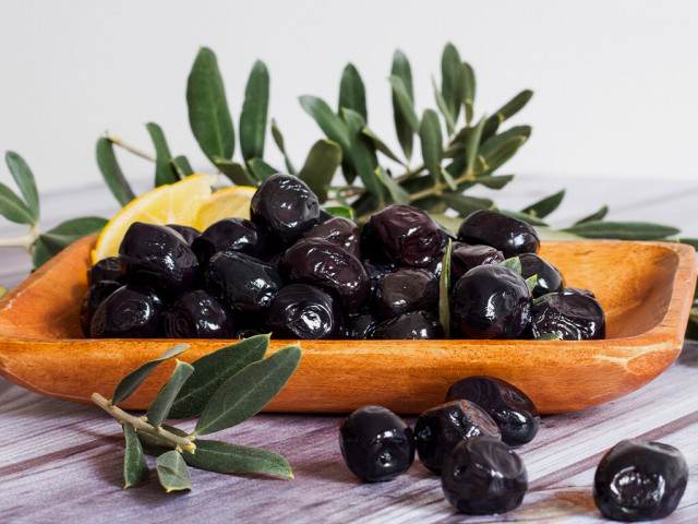 4 Yaş Gemlik Zeytin Fidanı