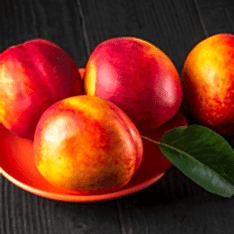 6 Yaş Bigtop Nektarin Fidanı