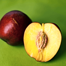 6 Yaş Venüs Nektarin Fidanı