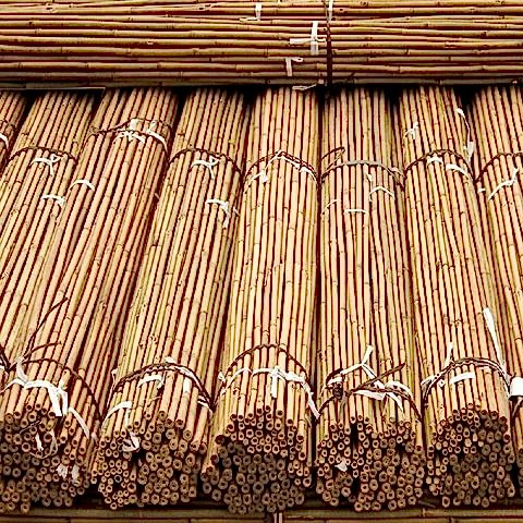 Bitki Destek Çubuğu Bambu 10 Adet-180 Cm