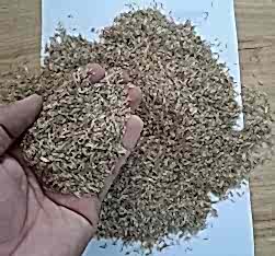 İthal Çim Tohumu 5 Karışımlı-1 Kg